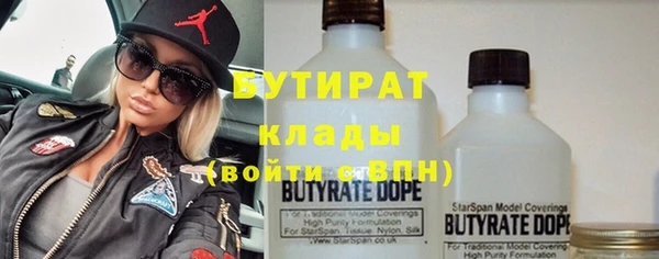 сатива Верея