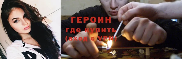прущие грибы Вязники