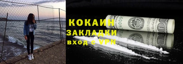прущие грибы Вязники