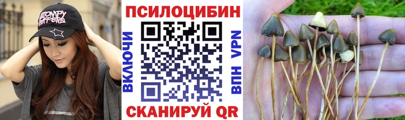 Галлюциногенные грибы Magic Shrooms Заводоуковск