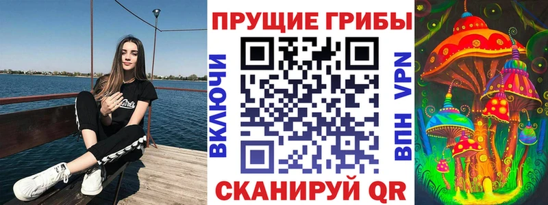 где можно купить наркотик  Заводоуковск  Галлюциногенные грибы Magic Shrooms 